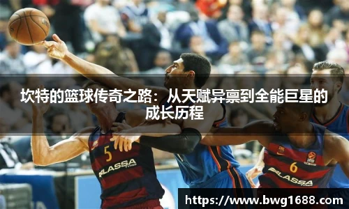  足球分析