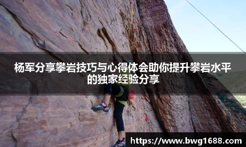 专业足球平台